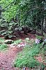 IMG_3347.JPG